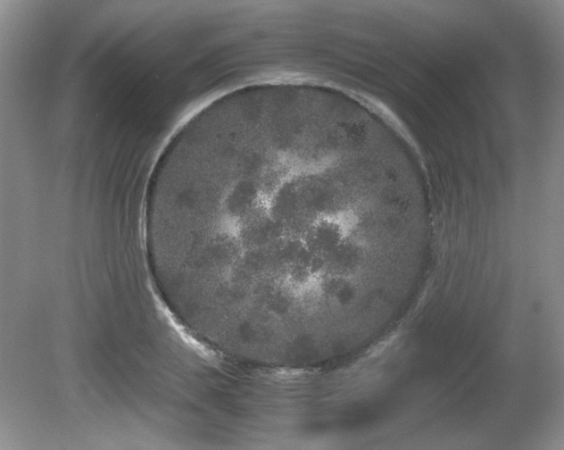 X0000081610839200701151403