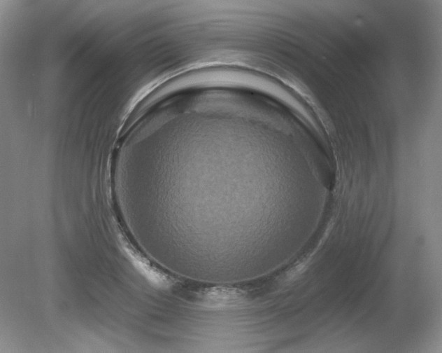 X0000081610842200701151403