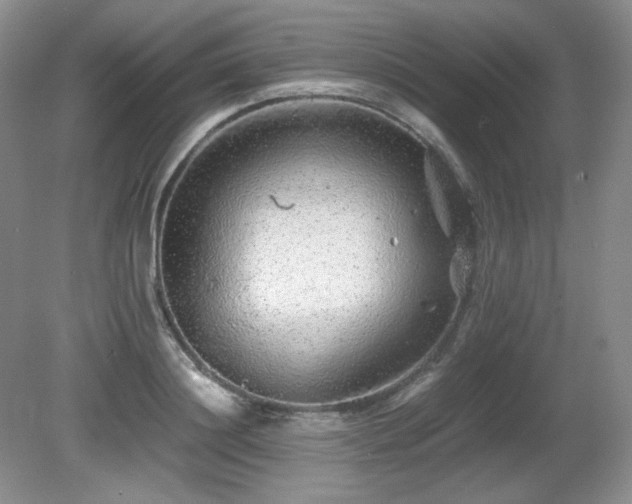 X0000081610844200701151403