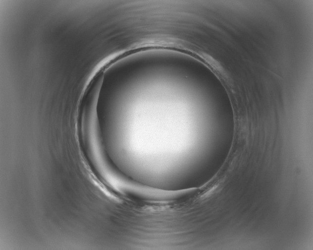 X0000081610846200701151403