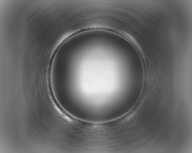 X0000081610847200701151403