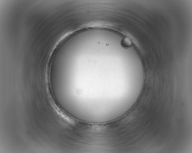 X0000081610848200701151403