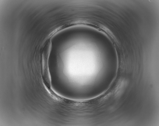 X0000081610849200701151403