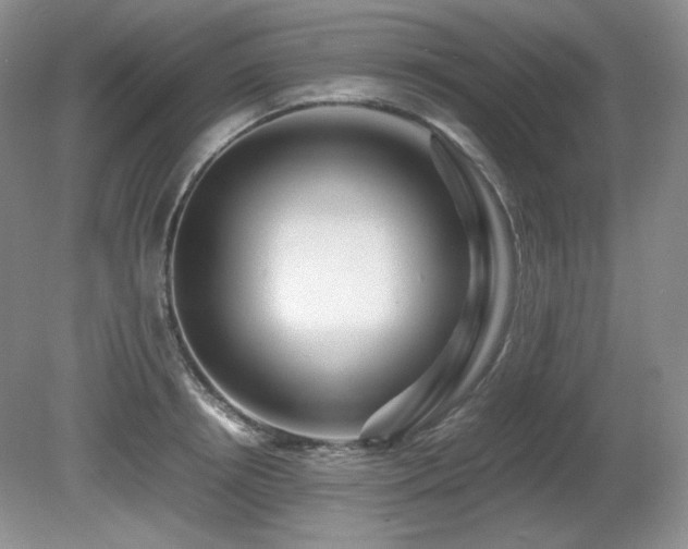 X0000081610850200701151403