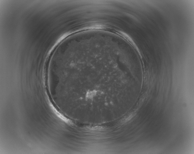 X0000081610851200701151403