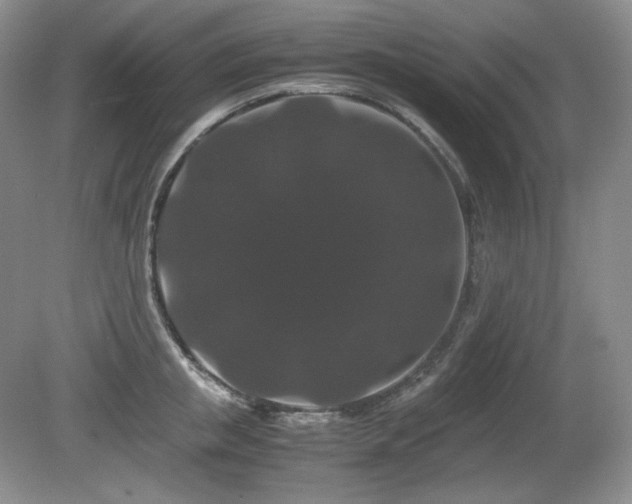 X0000081610853200701151403