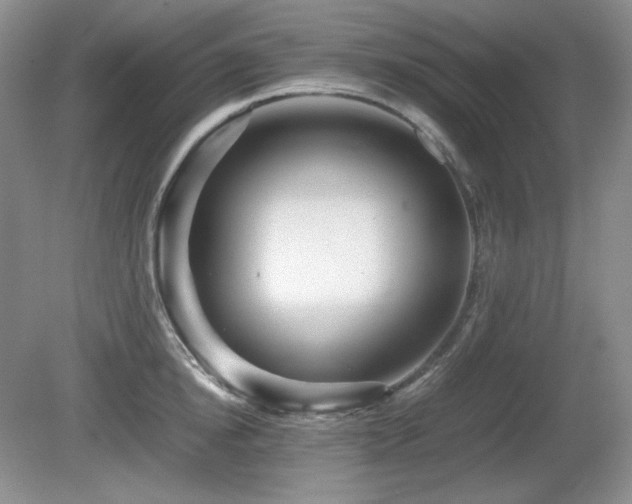 X0000081610854200701151403