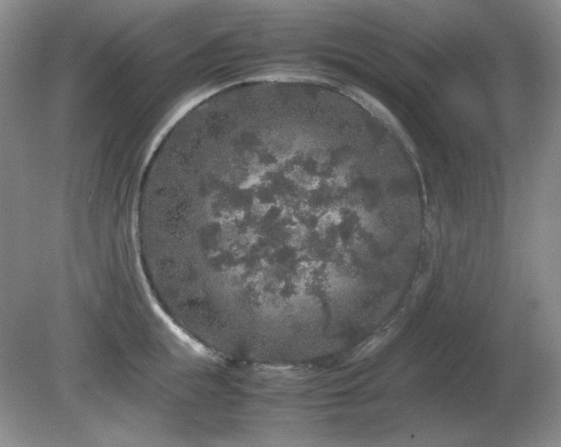 X0000081610855200701151403