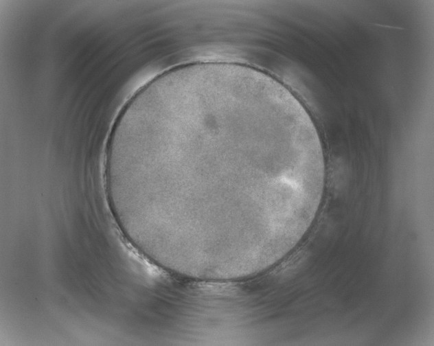 X0000081610856200701151403