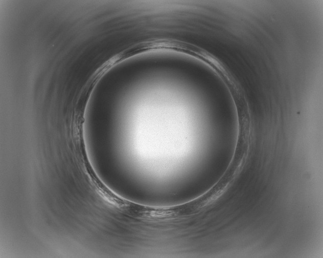 X0000081610857200701151403