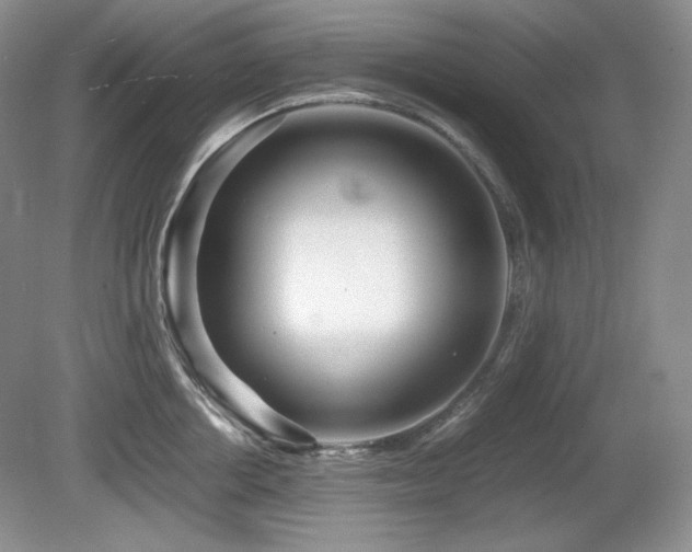 X0000081610858200701151403