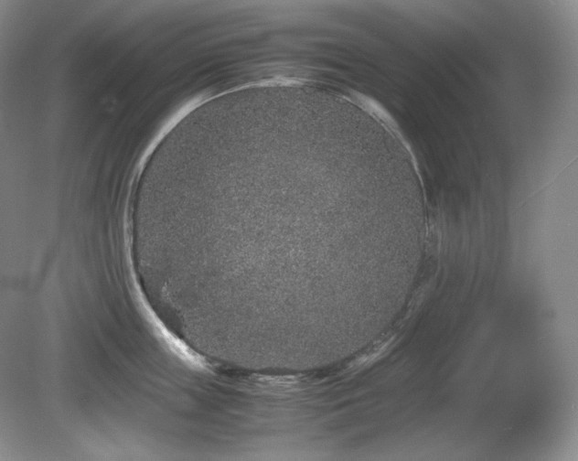 X0000081610859200701151403