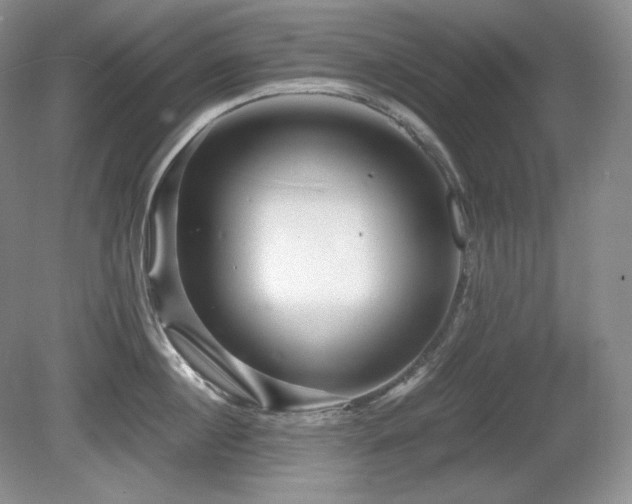 X0000081610860200701151403