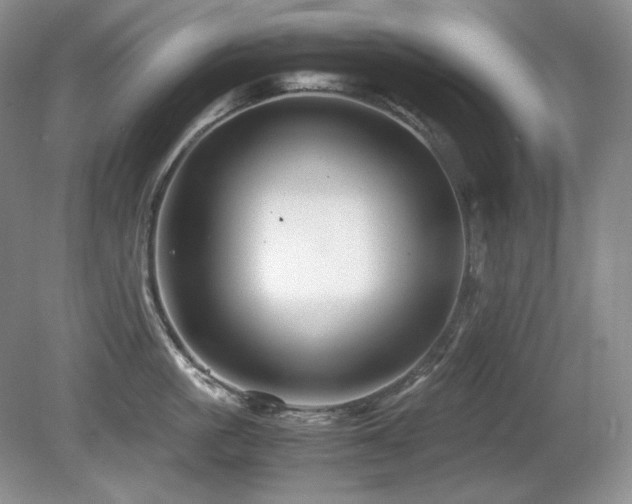 X0000081610861200701151403