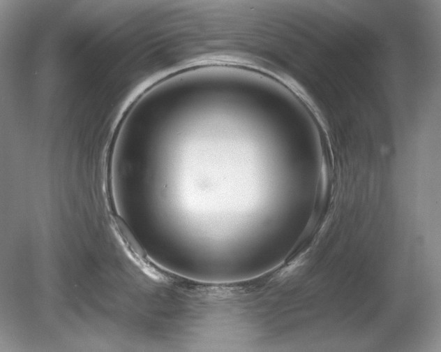 X0000081610862200701151403