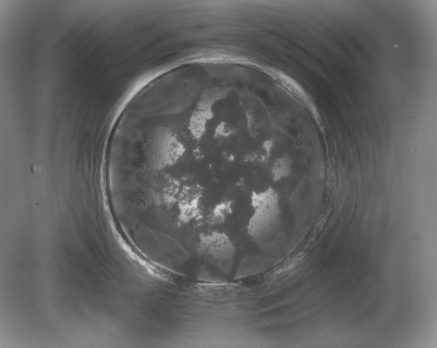 X0000081610863200701151403