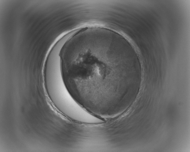 X0000081610864200701151403