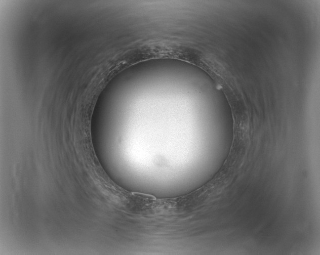 X0000081610865200701151403