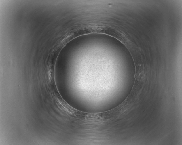 X0000081610866200701151403