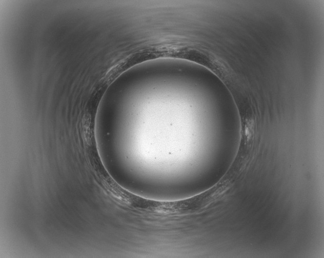 X0000081610867200701151403