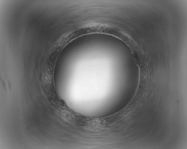 X0000081610869200701151403