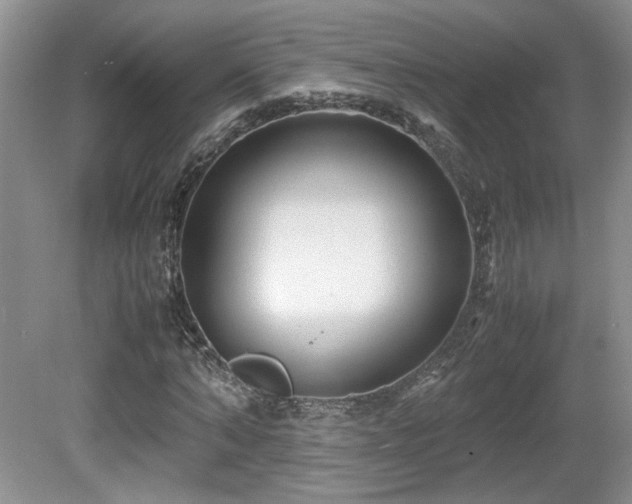 X0000081610870200701151403