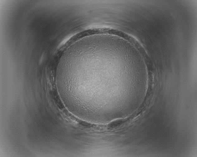 X0000081610871200701151403