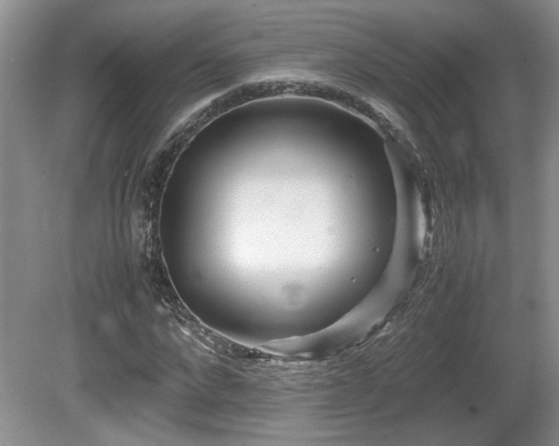 X0000081610872200701151402