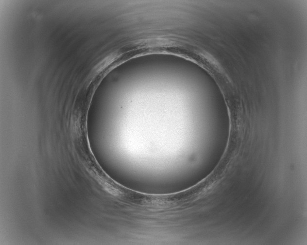 X0000081610873200701151402