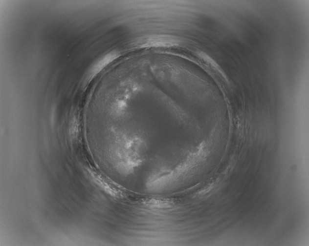 X0000081610874200701151402