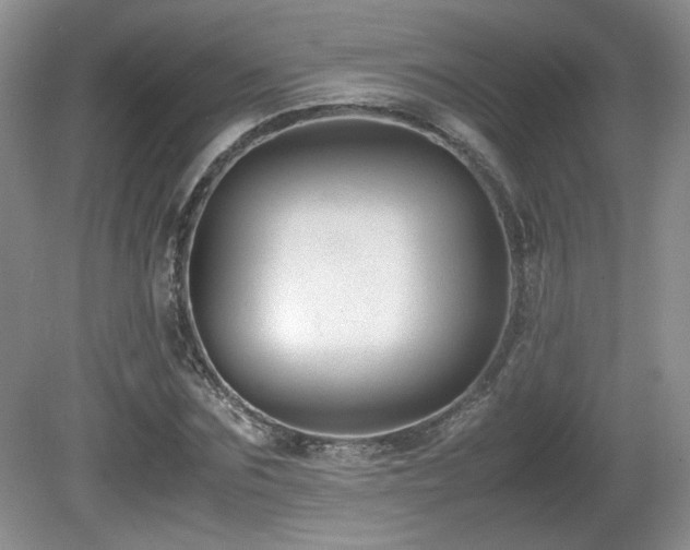 X0000081610875200701151402