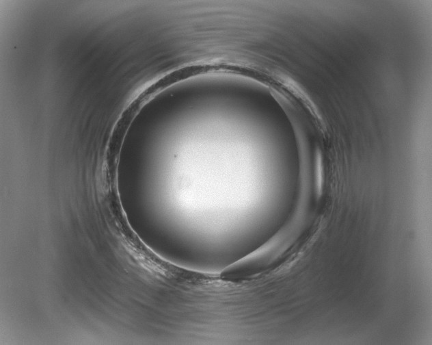 X0000081610876200701151402