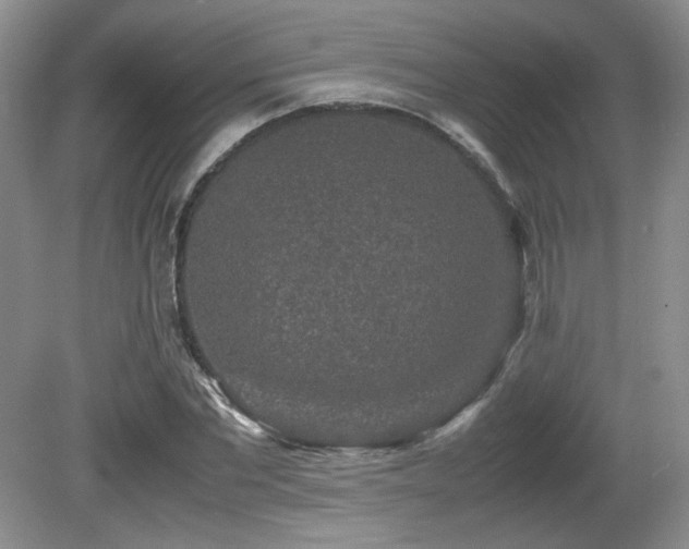 X0000081610877200701151402