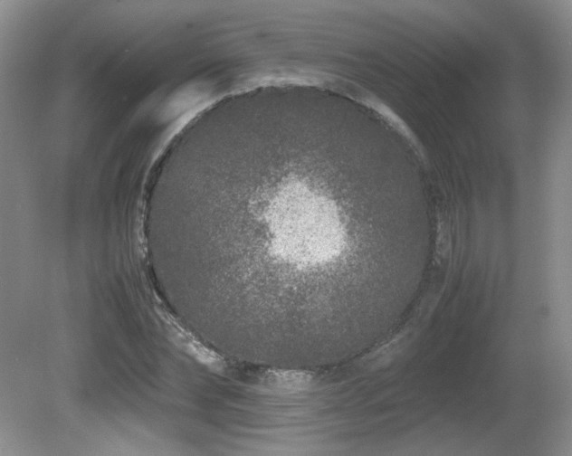 X0000081610878200701151402