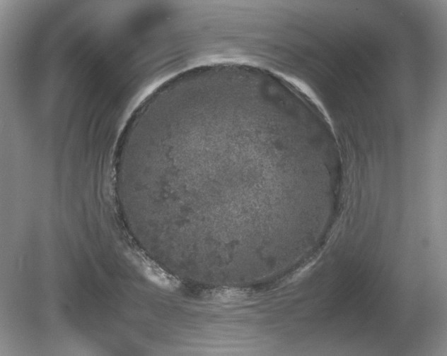 X0000081610879200701151402