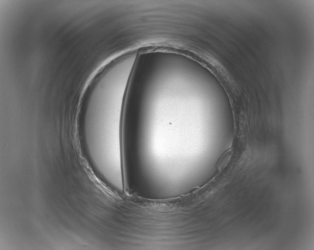 X0000081610880200701151402