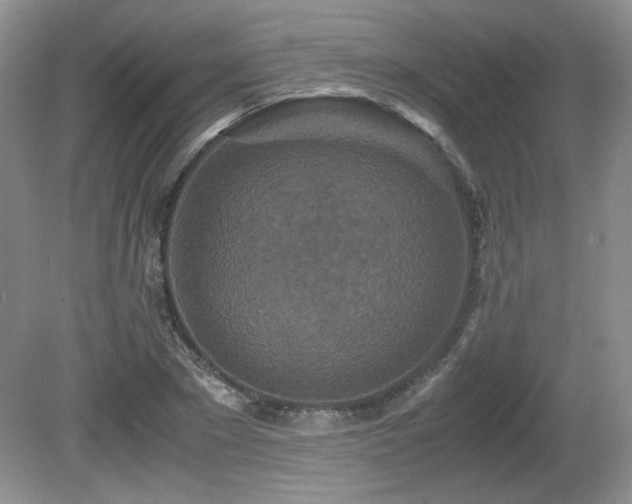 X0000081610881200701151402