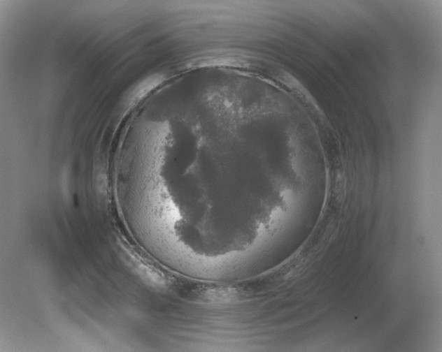 X0000081610882200701151402