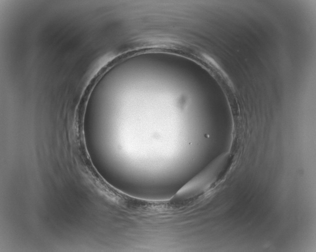 X0000081610883200701151402