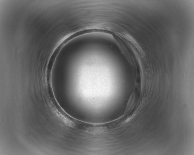 X0000081610884200701151402