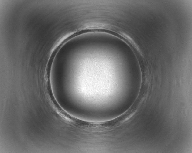 X0000081610885200701151402