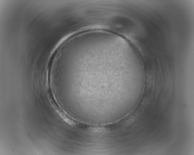 X0000081610886200701151402