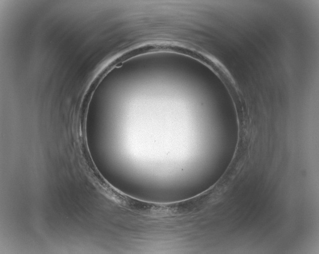 X0000081610887200701151402