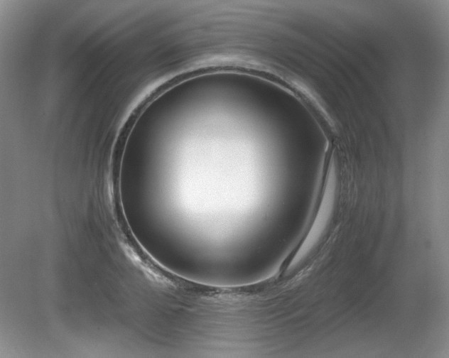 X0000081610888200701151402