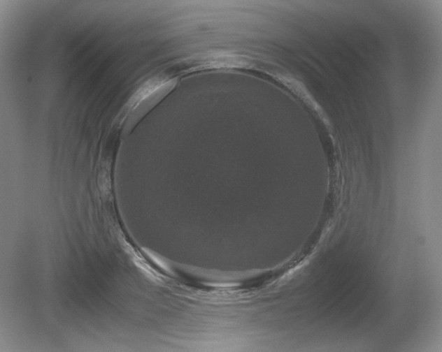 X0000081610889200701151402