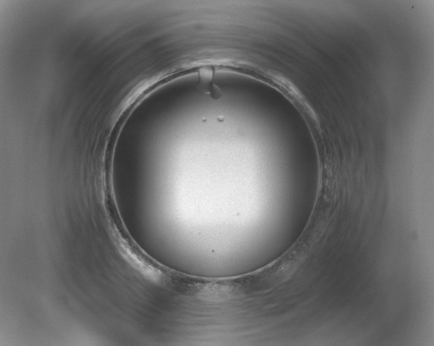 X0000081610890200701151402