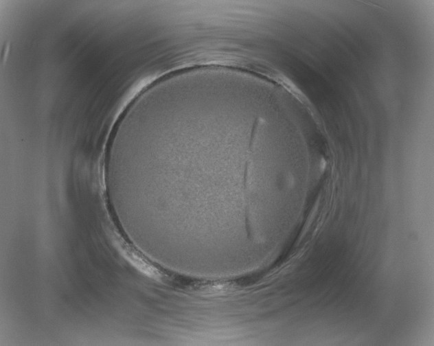 X0000081610891200701151402