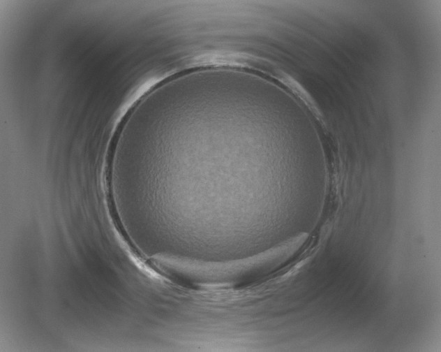 X0000081610893200701151402