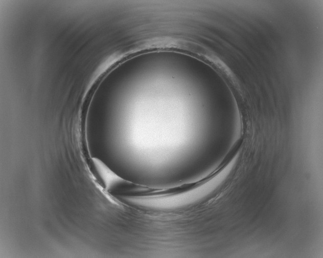 X0000081610894200701151402