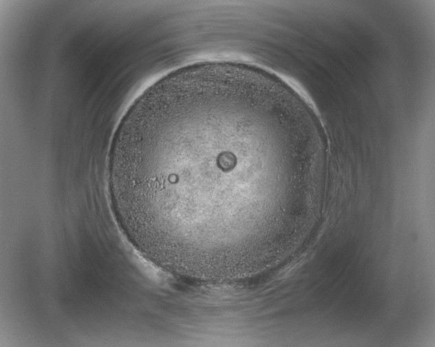 X0000081610895200701151402